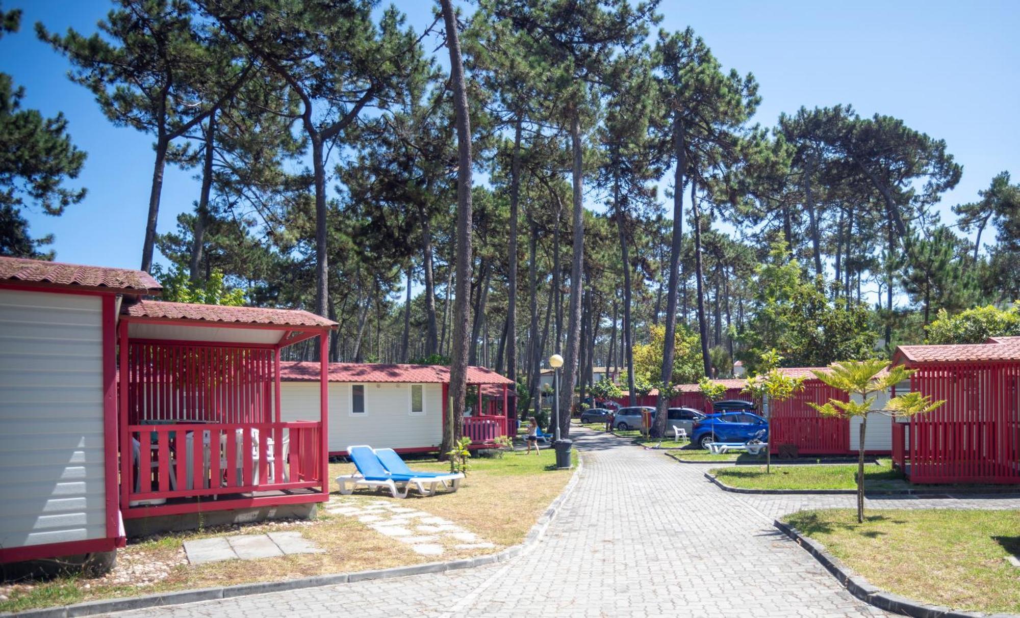 Parque De Campismo Orbitur Sao Pedro De Moel Hotel ห้อง รูปภาพ